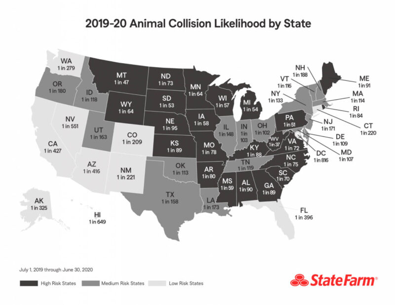 Drivers in dark grey states have a higher risk of colliding with an animal while driving | mikejeisen.com 